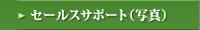 �Z�[���X�T�|�[�g�i�ʐ^�j