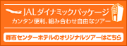 JAL�_�C�i�~�b�N�p�b�P�[�W